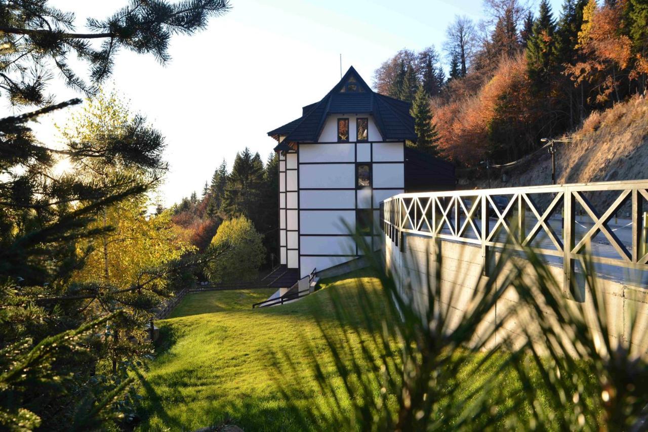 Vila Irina Kopaonik Esterno foto