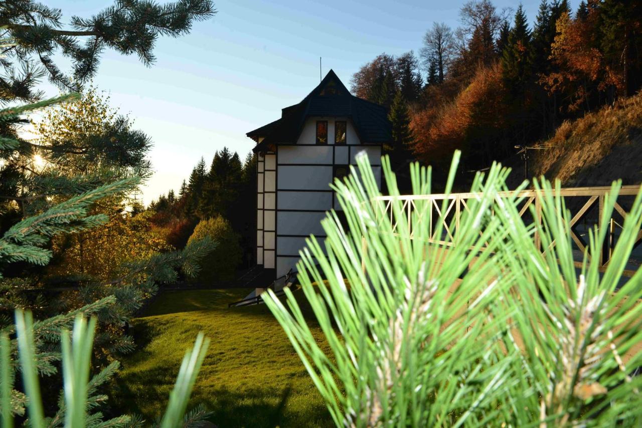 Vila Irina Kopaonik Esterno foto