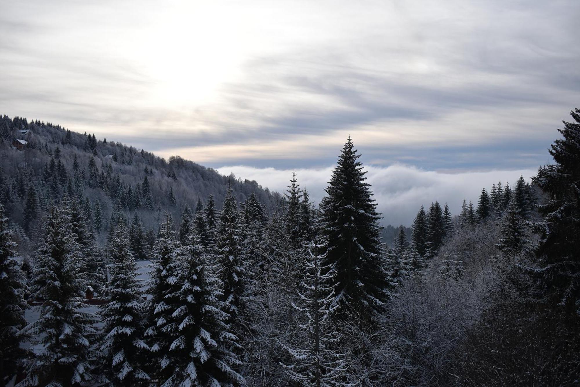 Vila Irina Kopaonik Esterno foto