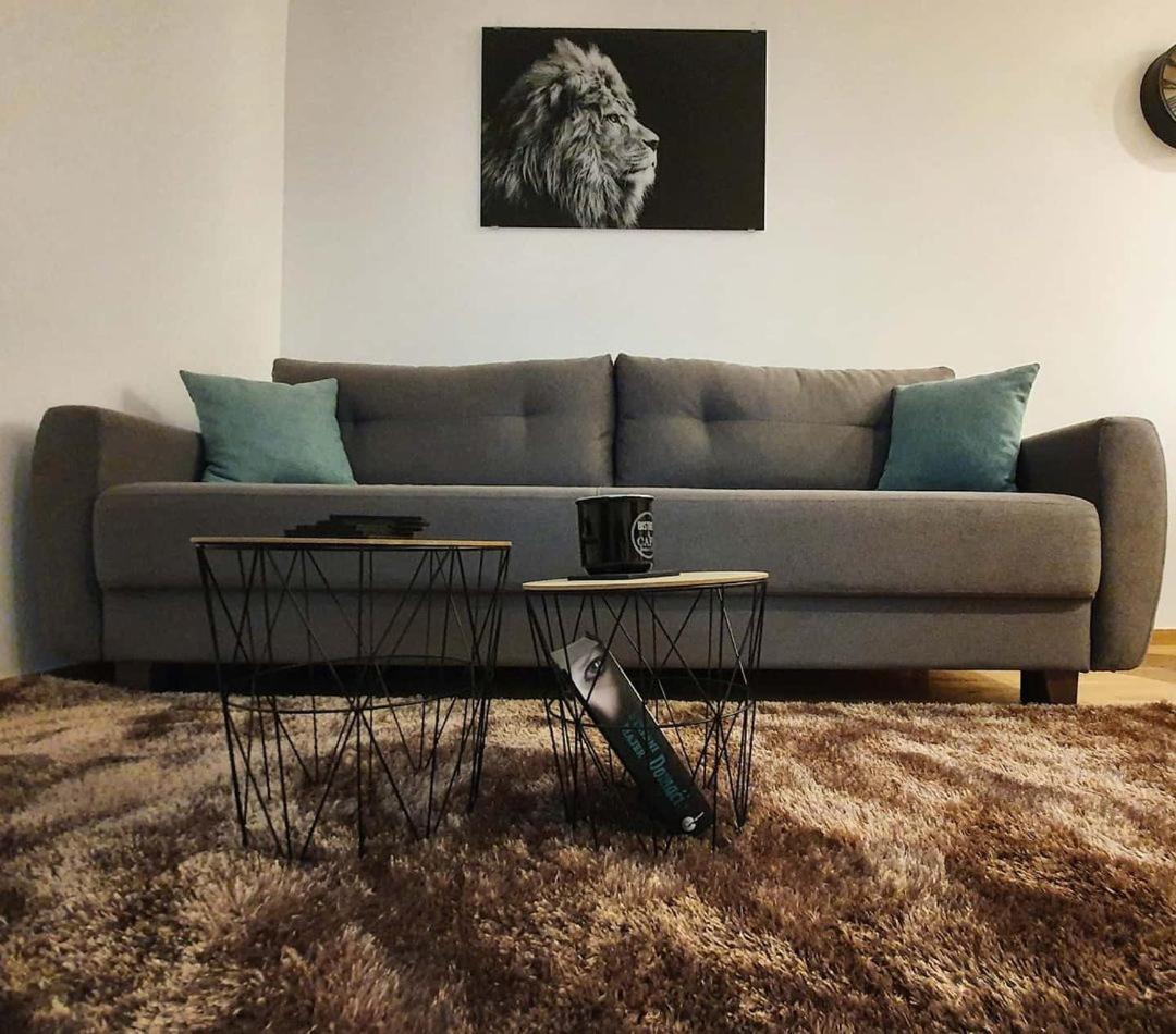 Vila Irina Kopaonik Esterno foto